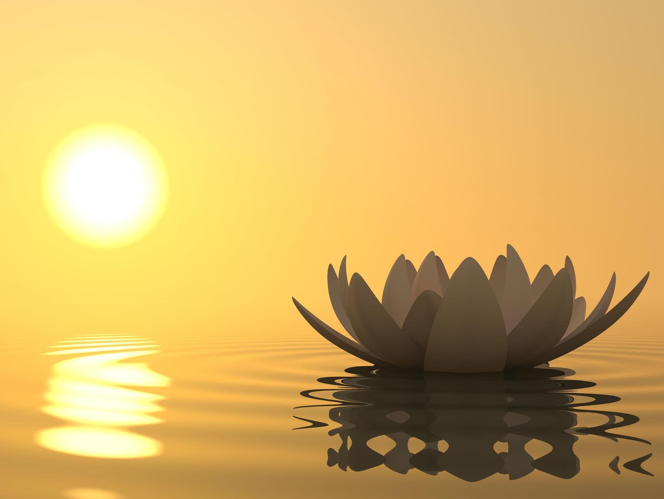 Медитативная Практика Цветок Лотоса