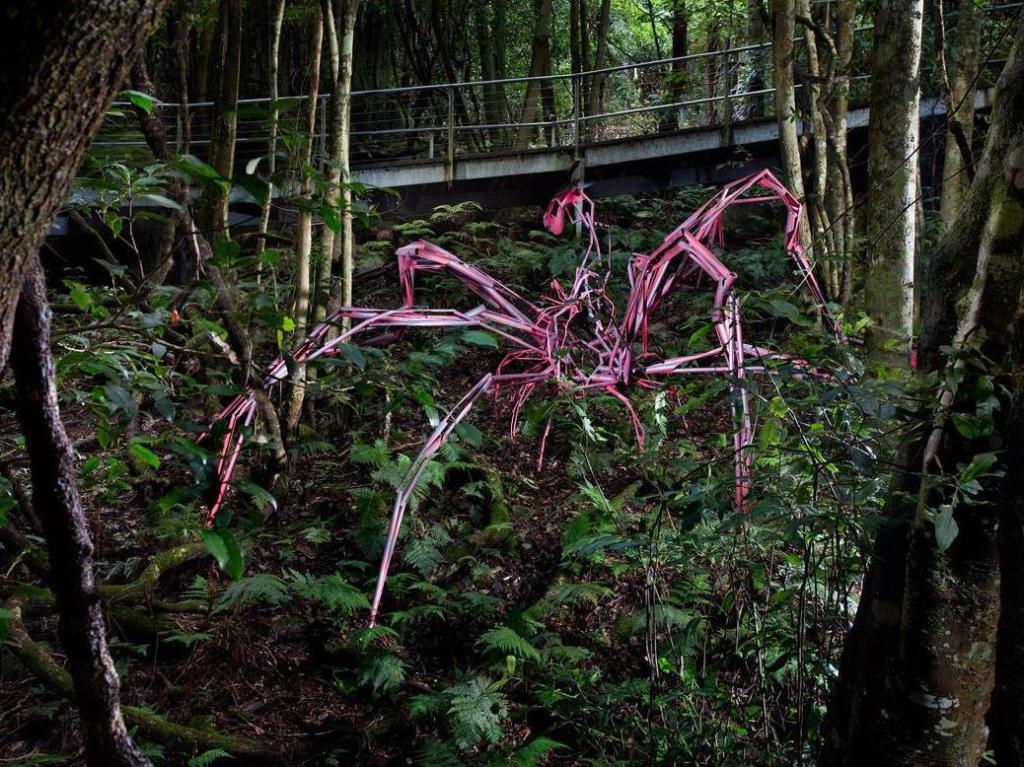 Artists invited to exhibit works in ancient Jurassic rainforest