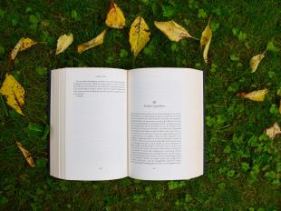 Photo by Annelies Geneyn on Unsplash.