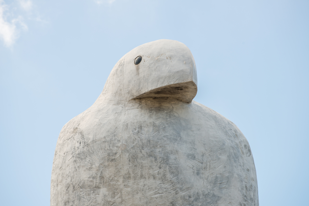 Top of Bunjil (eagle) sculpture.