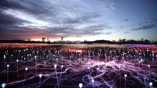 Field of Light, Uluru by Bruce Munro. Image supplied