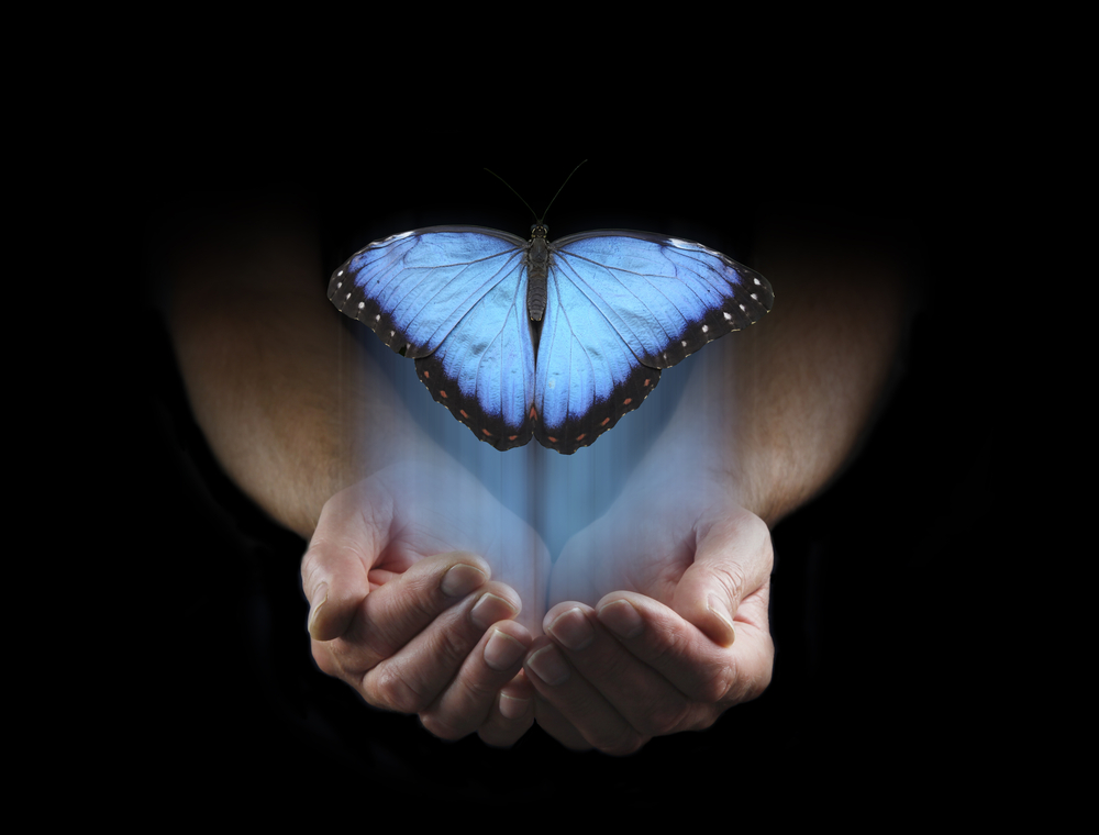 Blue butterfly and opened hands. Shutterstock image.