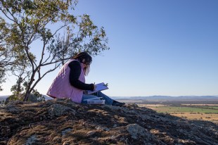 a woman painting a watercolour sitting on a rock in the bush