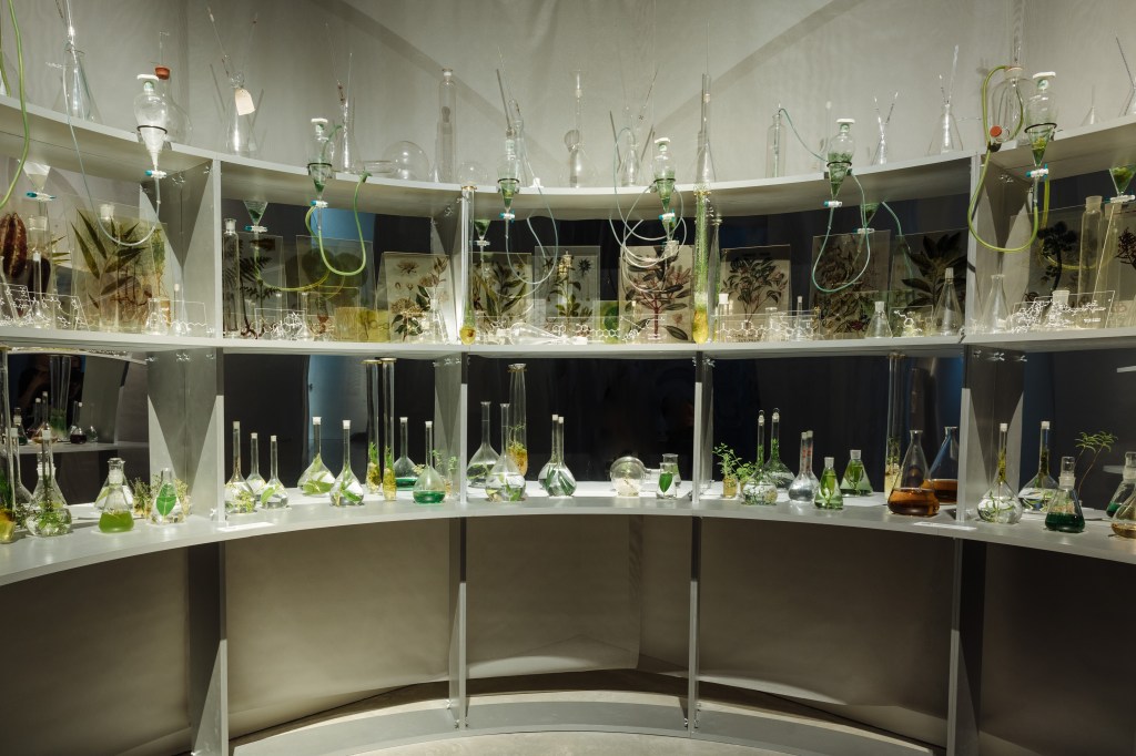 A gallery filled with plant specimens in glass containers
