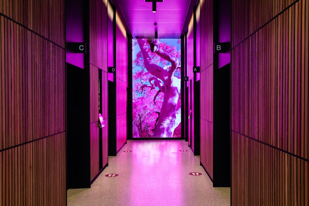 Digital art in corporate lobby, by Art Pharmacy