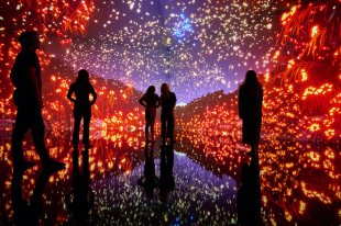 immersive gallery experience at Melbourne Museum