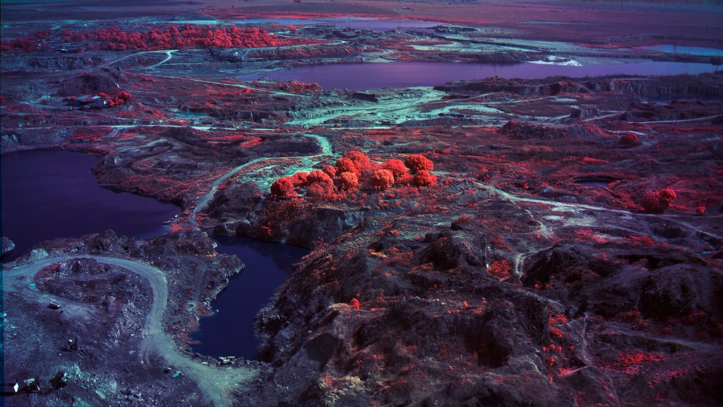 detail of video of Amazon Rainforest by artist Richard Mosse