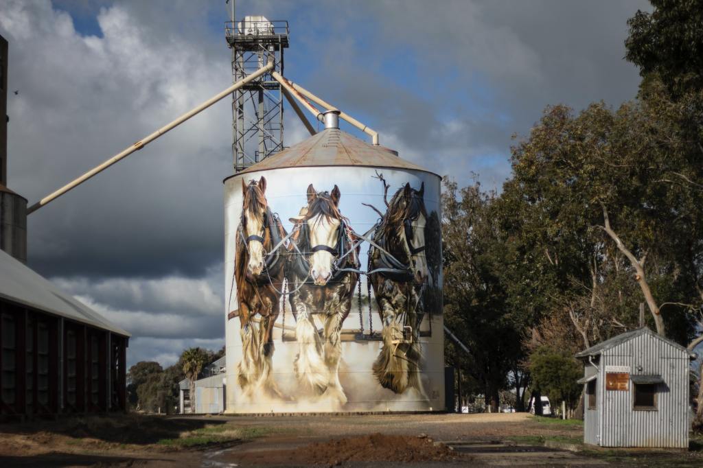 A photo of an old grain silo which is painted with three three Clydesdale horses captured mid-gallop.