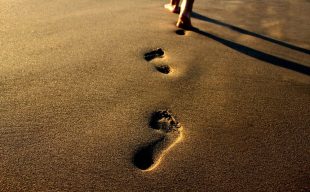 Footprints in damp sand, with a paid of feet just visible at the edge of the frame.
