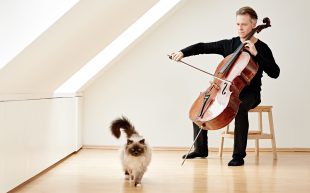 A white man dressed in black sits in a bare room playing the cello. A fluffy white and brown cat stands in front of him, staring inquisitively at the camera.