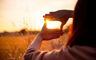 arts news. image is two hand held up like a cinematographer making a frame of the sun on the horizon above a straw field.