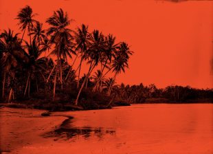 Talanoa. Powerhouse. Red coloured image of topical coastline with palm tree.