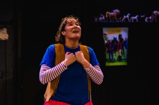 Fradulent horse girls. Image is a young girl in a blue jumper, red and white stripey T-shirt below, and orange waistcoat with hands on her chest looking upwards in a pleading fashion, with horse pictures behind her.