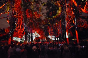 Perth Festival. Digital projections of bandicoots are shone onto a red-lit avenue of trees. A large crowd makes their way down the path between the trees.