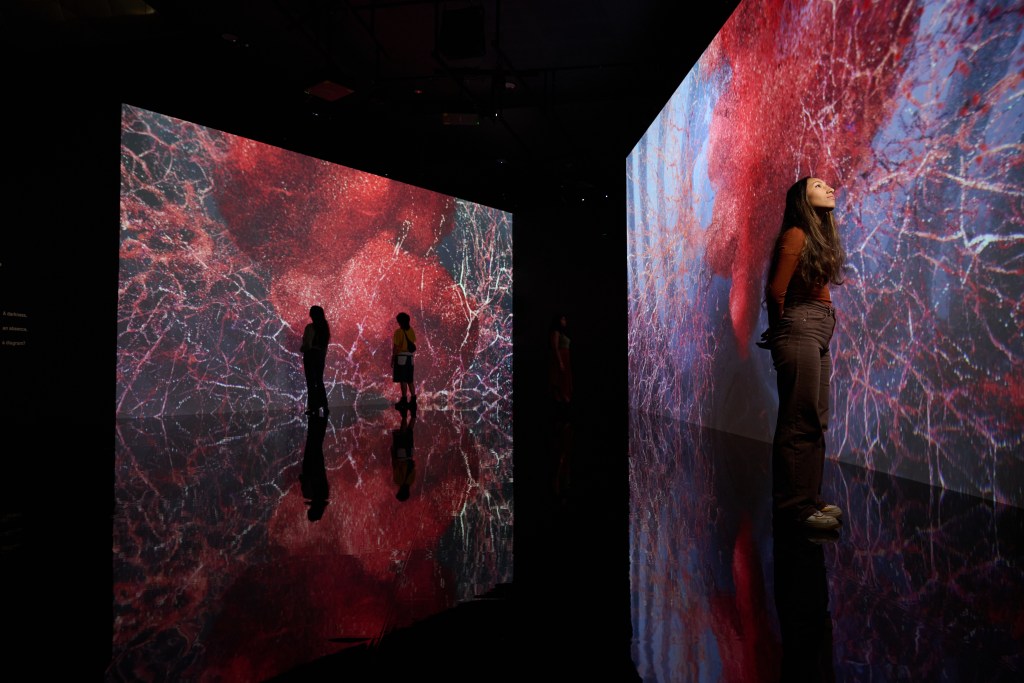 Marshmallow Laser Feast. Image is two huge screens on the diagonal with silhouettes of people looking at them.