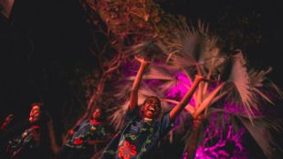 circus. Image is gleeful young girl throwing arms up in the air, in front of palm tree lit up by coloured lights against a dark sky. Other performers in the same t-shirt can be seen behind and to the side of her.