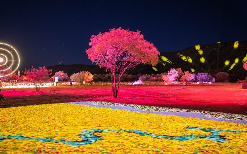 First Nations. Image is of a garden lit in yellow and solo tree lit up in pink.