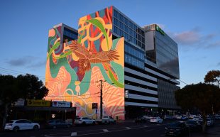 Large-scale mural, Mooroop Yarkeen, by Tommy Day revealed. Photo: Supplied.