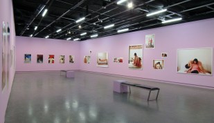 Each, Other. Image is a large pink walled gallery space with photographs on the walls.
