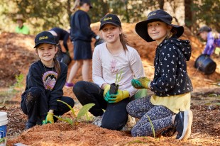 Poetry POEM FOREST. image is three children with adult