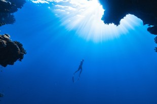 on the move. Image is an underwater photo depicting a scuba-diver rising through a deep blue ocean towards the sunlit waters above.