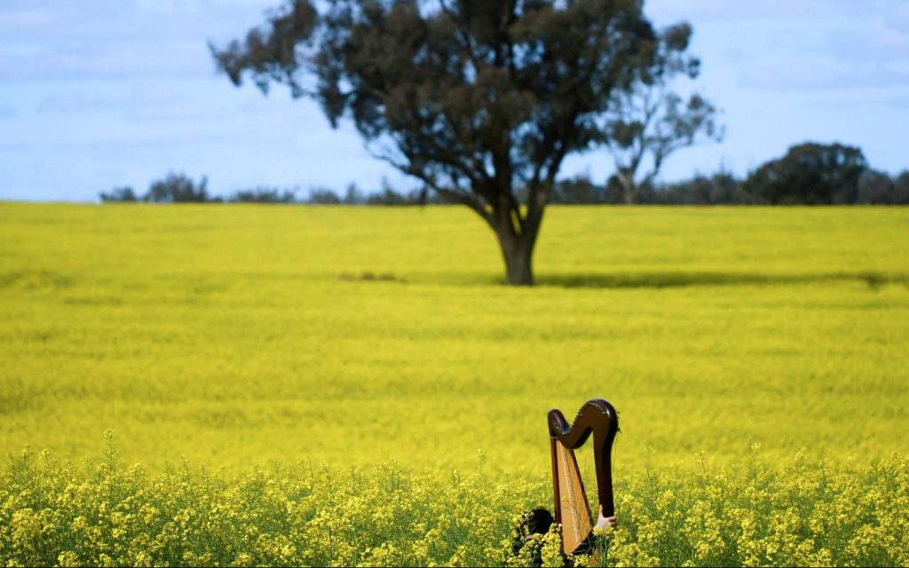 Jen Valender, still from ‘Artist as Animal’. Image: Supplied. The top half of a harp stands out among a field of golden flowers with a tree into the distance. She is seen holding the harp.