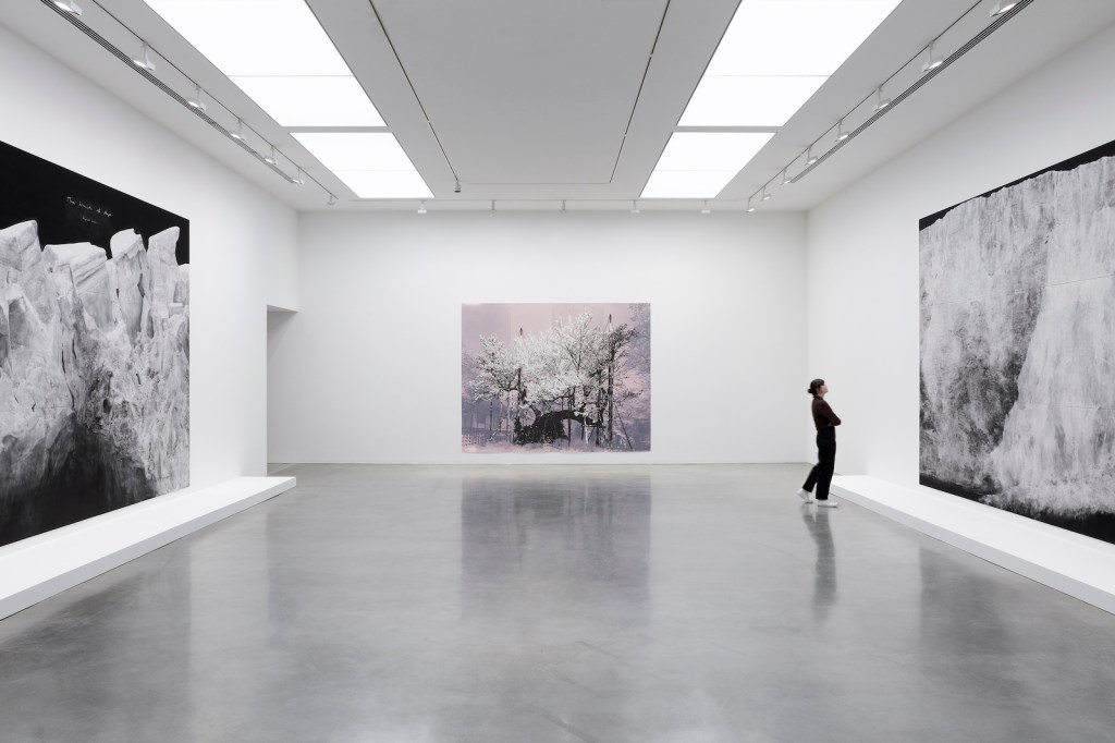 Tacita Dean. Person in gallery with very large drawings in soft colours