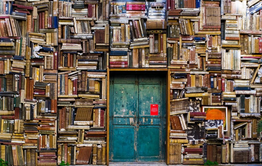 a wall of books with a blue door at the bottom of the frame.