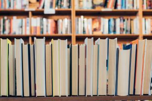 books. Image is shelves of books with their spines facing away from the viewer.