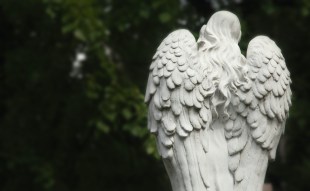 Vale. rear view of stone statue of an angel with wings