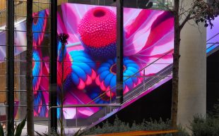 Still from 'Natural Rythms of Australia' by VANDAL at Darling Quarter North. Photo: Supplied.