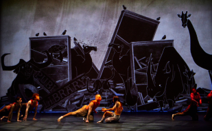 Five dancers wearing sleeveless organe tops and loose grey pants move-animal-like across on the stage on all fours. Behind them in a black and white digital animation of stylised animals including a rhino, camels and a giraffe.