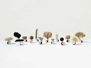 Miscellaneous organic objects as an artwork in a white gallery setting.