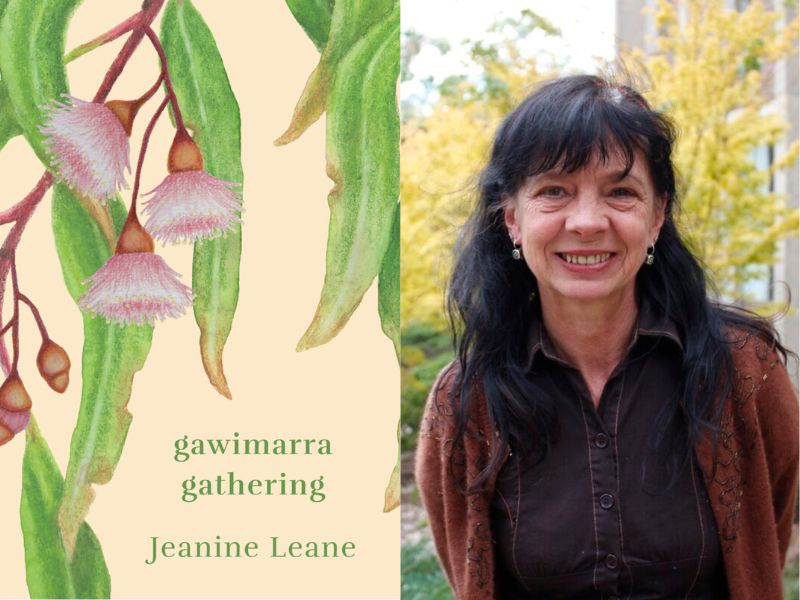gawimarra gathering. Image on the left is a book cover with a pale yellow background and long gum leaves and bell shaped flowers hanging down. On the right the author shot is an upper body picture of a smiling woman with long black hair and a fringe, wearing a dark brown shirt and brown cardigan, with her arms behind her back and some trees and a building behind her.