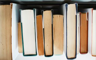 Bookshop. image is a row of books resting on their spines