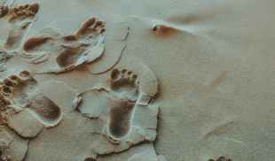 Footprints in the sand.