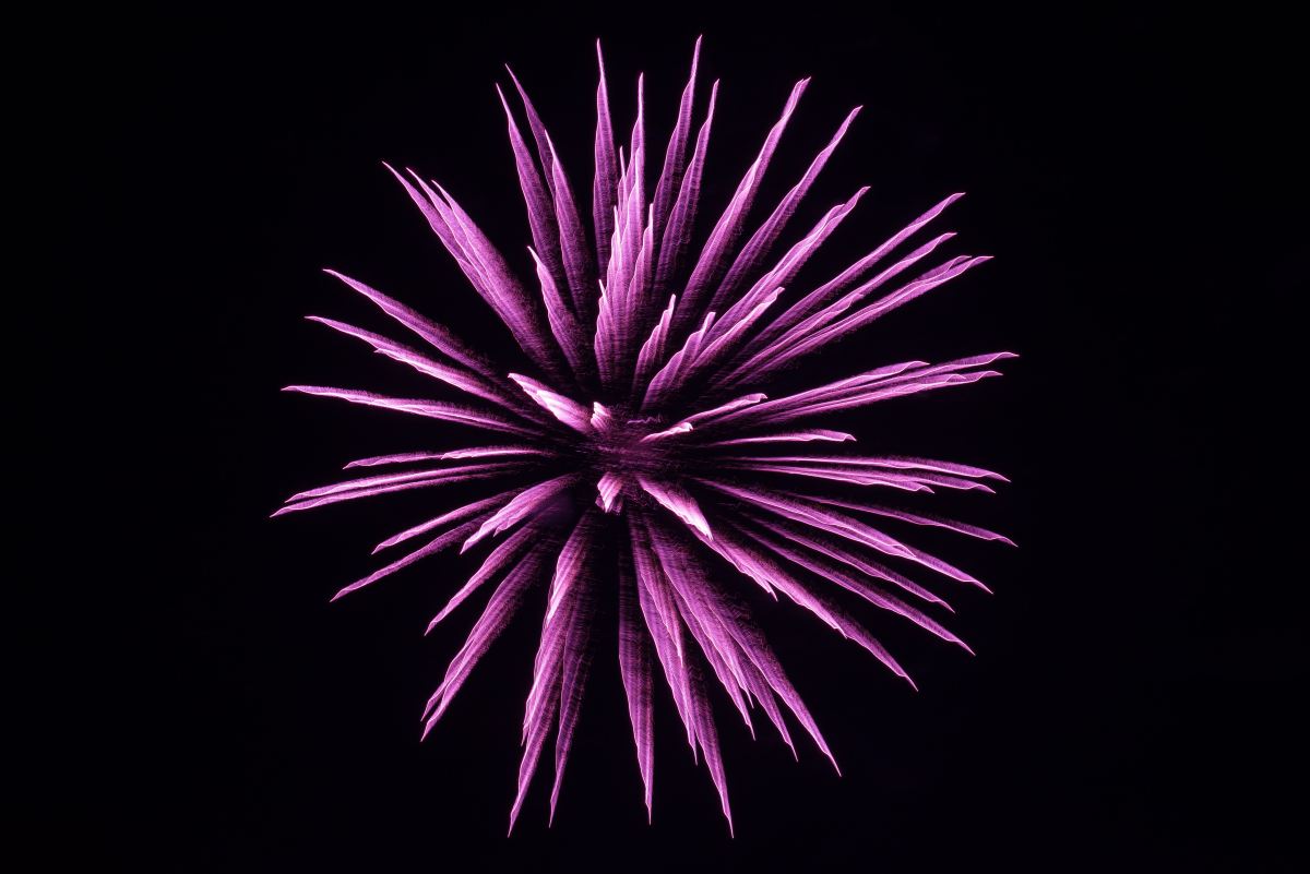 Photo: Scott Osborn on Unsplash. A purple firework against a black background.