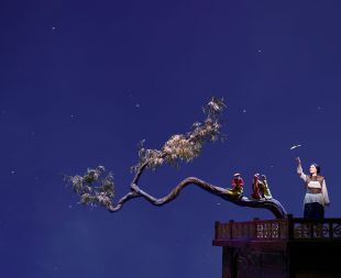 ‘The Nightingale and Other Fables’ upcoming at Adelaide Festival 2024, directed by Robert Lepage. Photo: Michael Cooper. A performer in traditional Chinese garment standing on a rooftop with a branch extending out into the violet night sky.