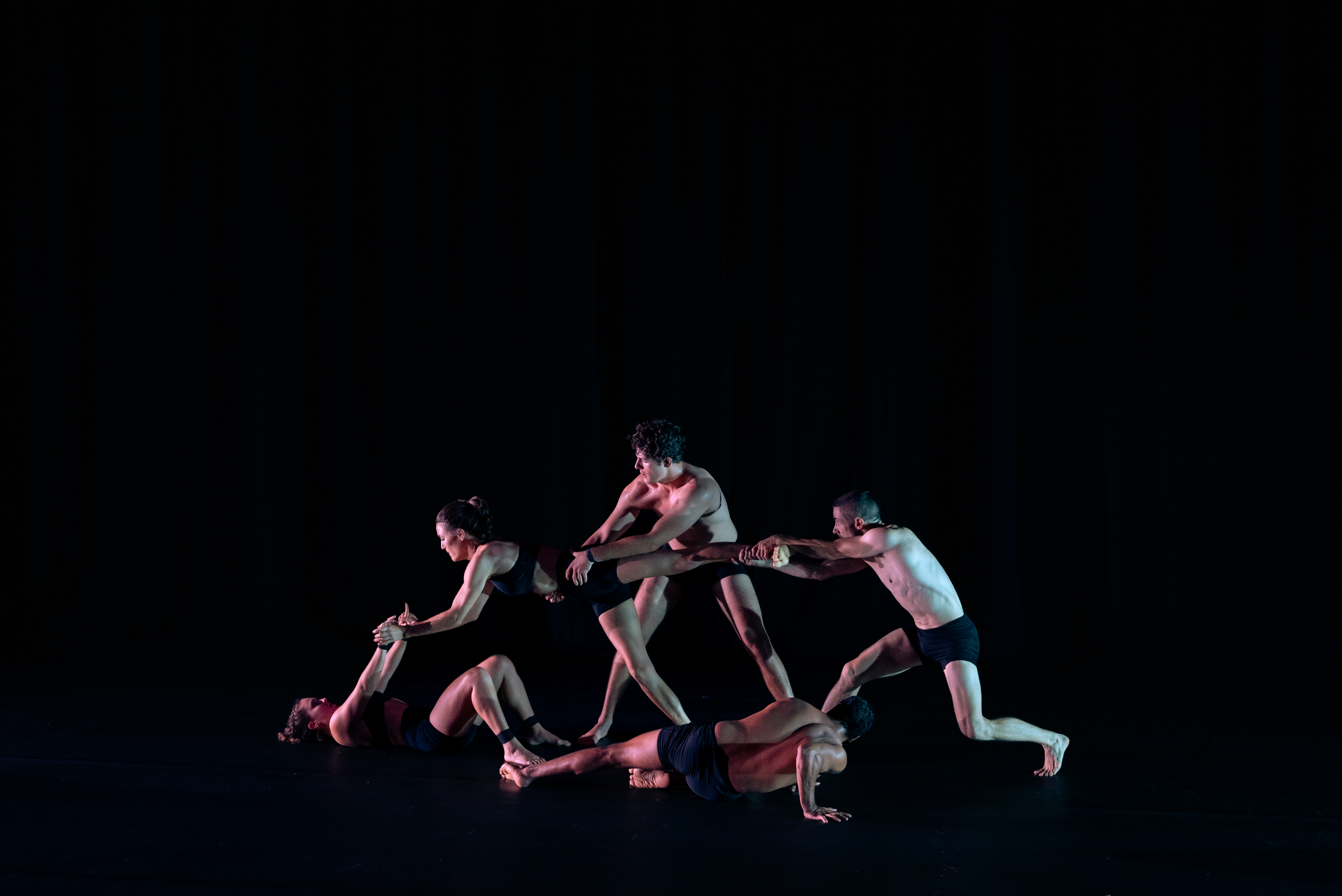 THE WET by Circa Cairns - Event Information – ArtsHub Australia - Vimarsana News
