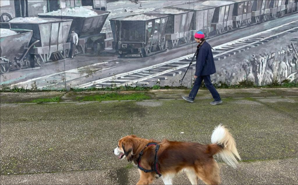 man walking dog in park with city background.