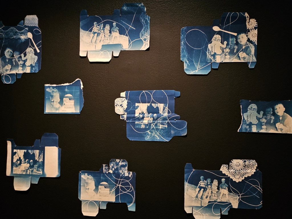 Georgina Richards, ‘Swallowing the pretence’, 2023, installation view at ‘Top Arts 2024’. Photo: ArtsHub. Nine different cyanotypes of childhood photographs with one figure blanked out. 