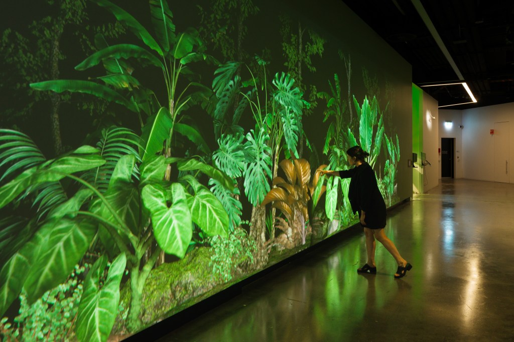 'Human Effect' by Yandell Walton, installation view as part of 'NOT NATURAL' at Science Gallery Melbourne. Photo: Matthew Stanton. A person tapping on a large interactive projection of lush green plants inside a gallery space. The lights are dim to accentuate the projection. 