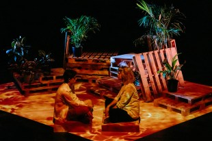 Beast in the Room. A stage set featuring packing pallets and foliage surround a middle-aged woman and a teenaged boy who sit downstage, crosslegged facing each other.