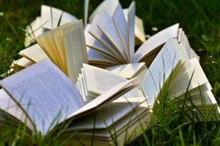Upturned books lie on grass. Stella Prize.