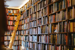 Image is a bookshop with floor to ceiling shelves and a ladder to reach to the top. Bookshops.
