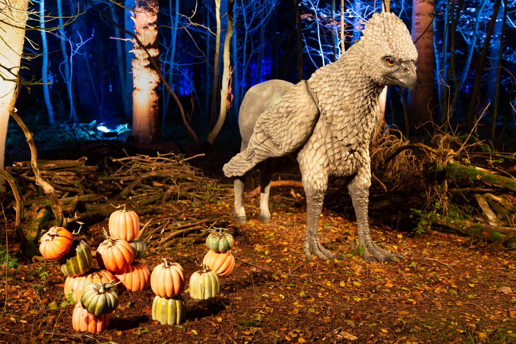 Harry Potter: A Forbidden Forest Experience. Image: Supplied. Image is a hippogriff surrounded by pumpkins in a forest.