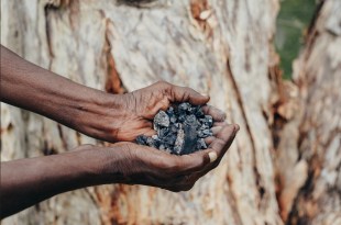Hands of First Nations person holding charcoal against background of tree. Yarrabah