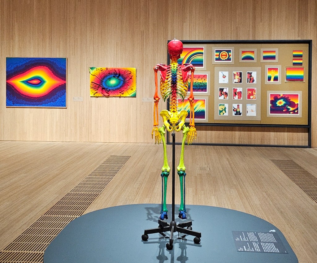 ‘Ay-O: Hong Hong Hong’, installation view at M+ Museum. Photo: ArtsHub. A suite of works featuring rainbow coloured inside a timbre-lined gallery space, including several paintings, drawings, and in the centre, a rainbow-painted skeleton.