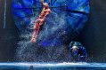 man hangs from a rope against a blue backdrop over a watering hole on a stage. a tiger puppet is behind him and rain pours all around. Luzia Cirque du Soleil