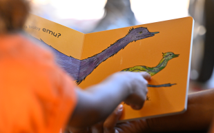 Indigenous Literacy Foundation. Image is a young Aboriginal child reading a book about emus and pointing at the illustration on the page.